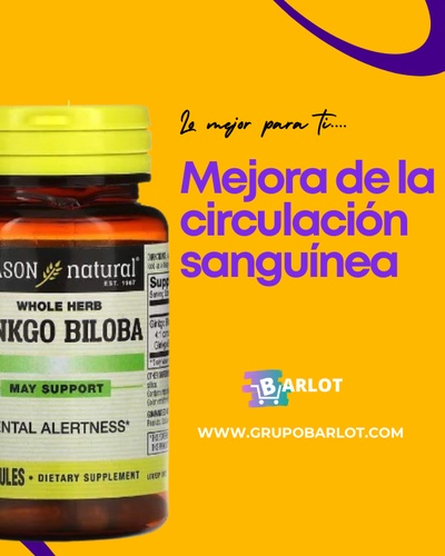 Ginkgo Biloba Manson Rincon Natural